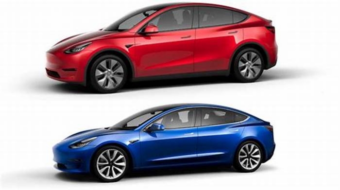 Tesla Model 3 vs Tesla Model Y Sedan vs SUV Choosing the Right Tesla