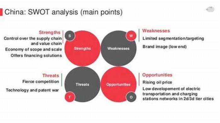 What are the weaknesses of BYD