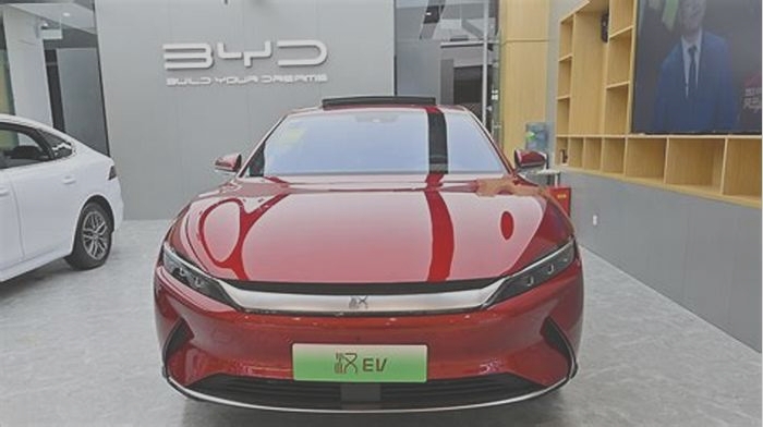 What is BYD called in China?