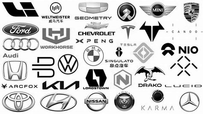 What is the most popular electric car brand in the world width width