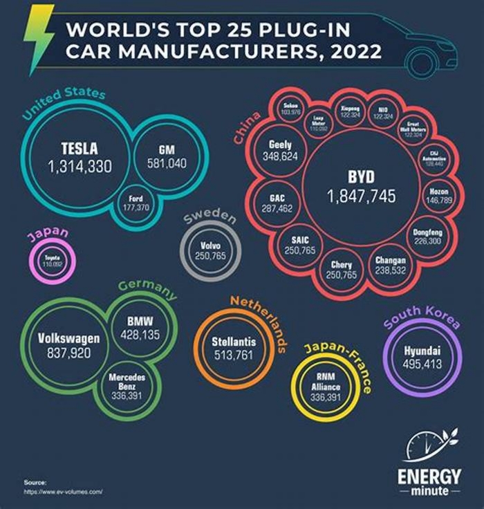 Who is the No 1 EV company width