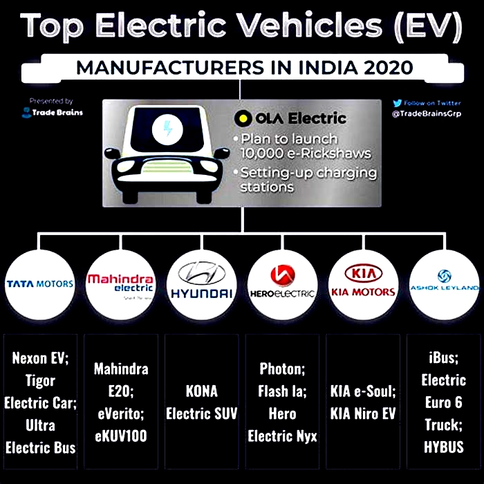 Who is the No 1 EV company